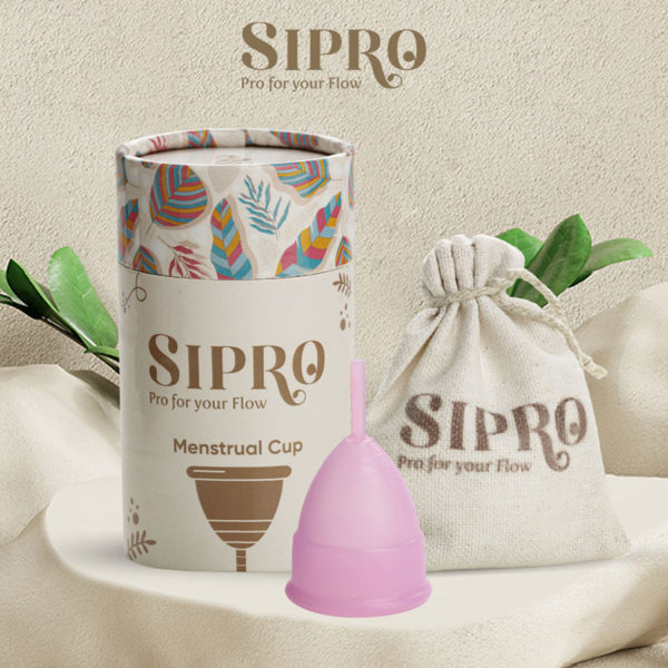 Regular Shape Cup